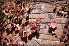 dailyPhoto22